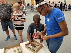 Families make nature shadow boxes. 